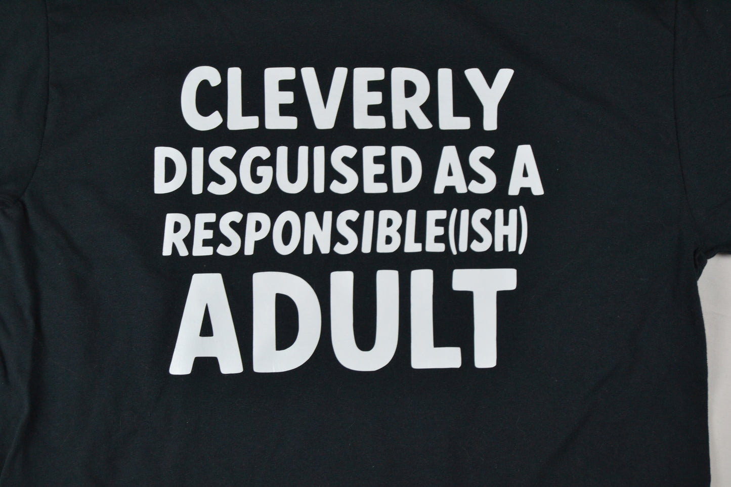 Funny Responsible(ish) Adult T-Shirt – “Cleverly Disguised as a Responsible(ish) Adult” – Sarcastic Humor Tee