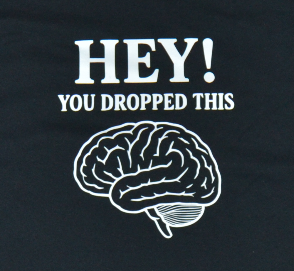 Funny Sarcasm T-Shirt – “Hey, You Dropped This…” – Humorous Tee – Gift for Friends & Couples