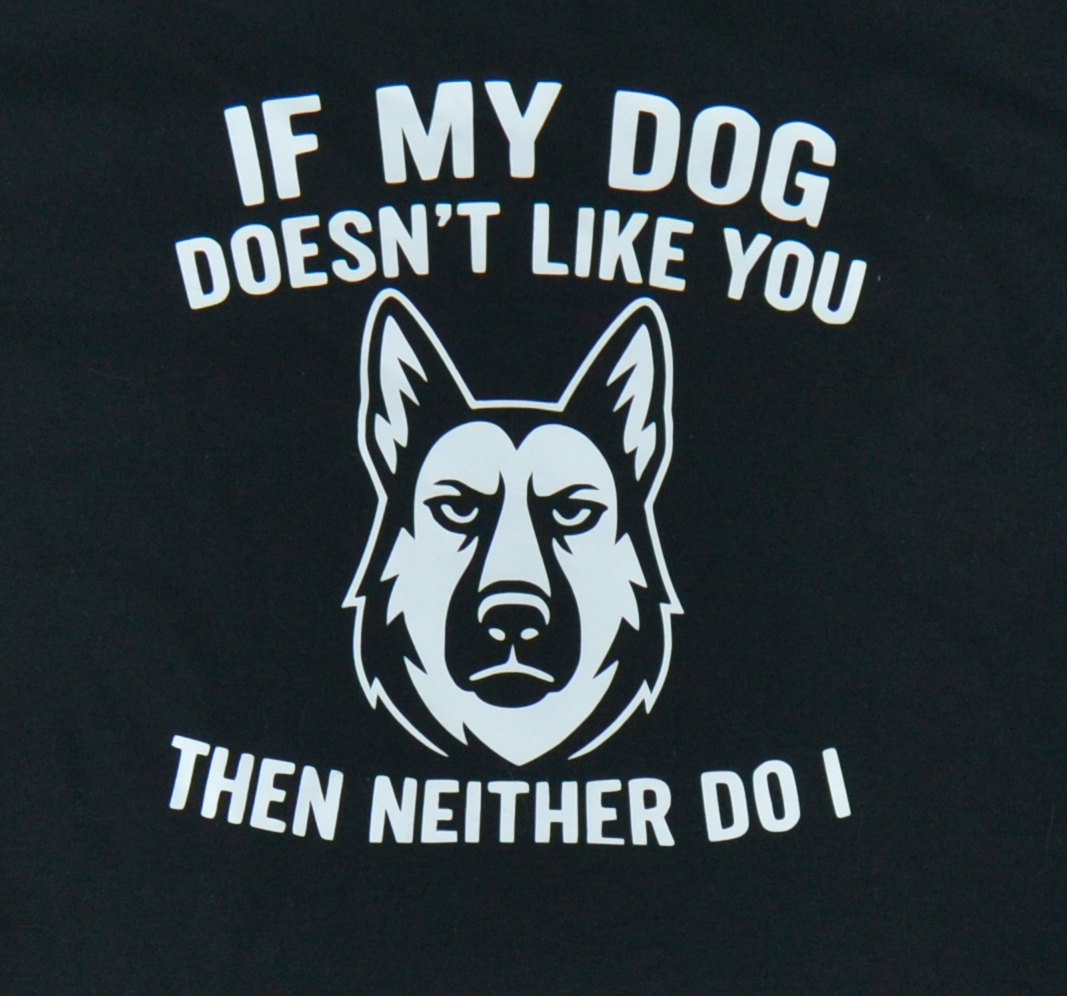 If my dog doesn't like you, neither do I