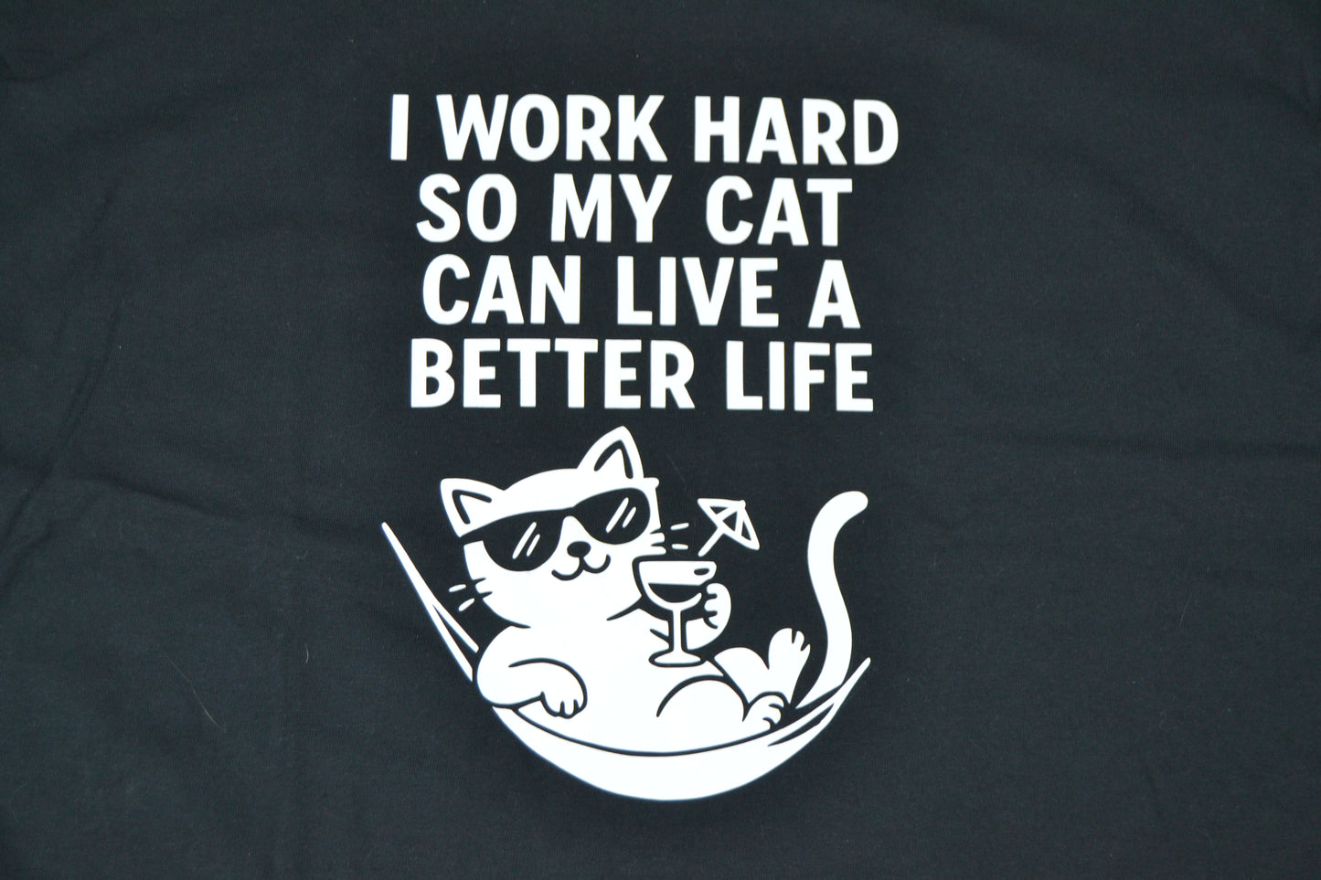 I work hard so my cat can live a better life