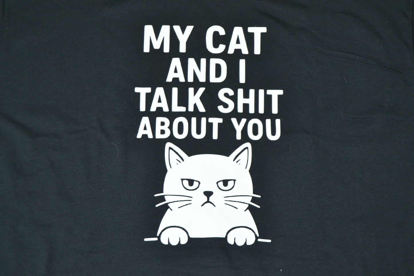My cat and I talk shit about you