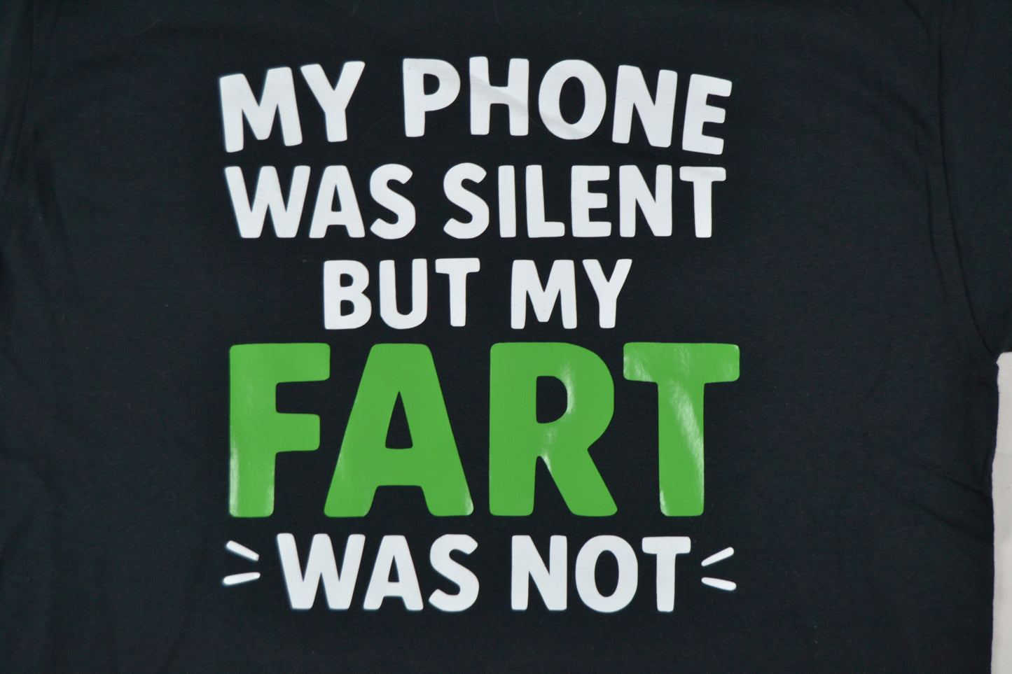 My phone was silent, but my FART was not