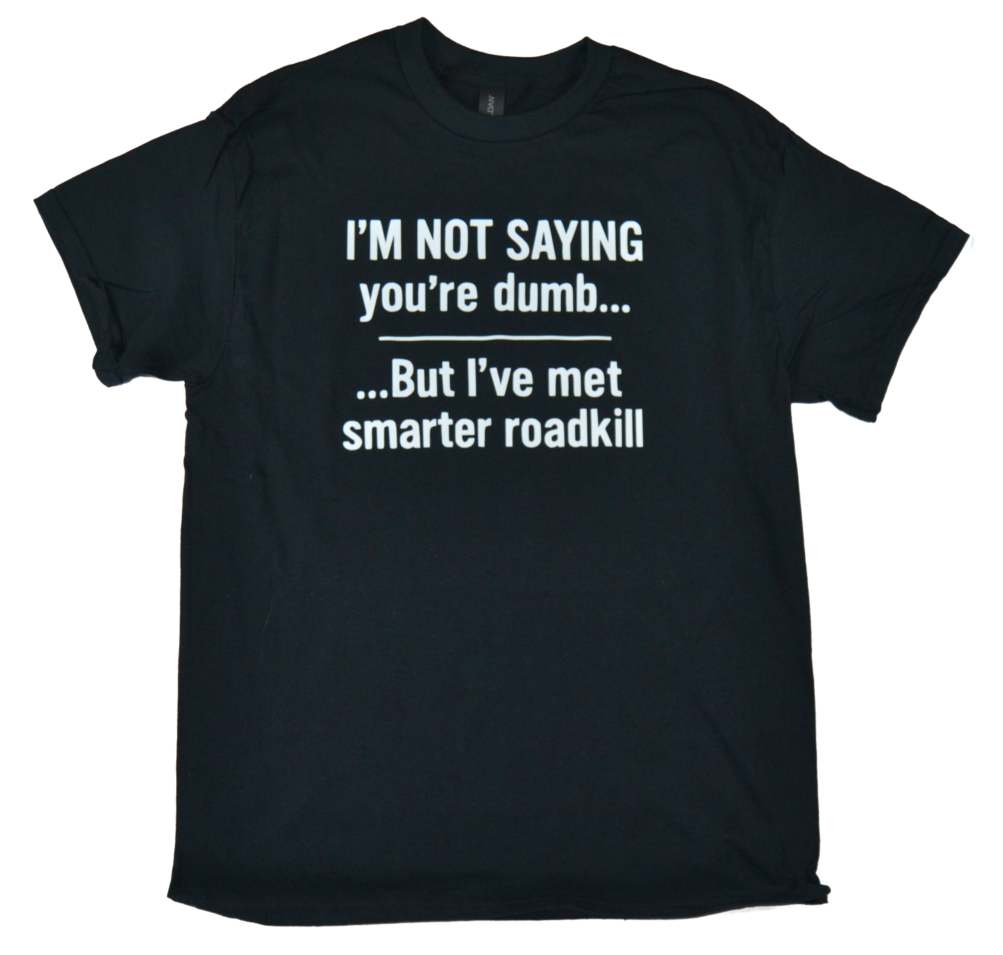 I'm not saying you're dumb, but I've met smarter roadkill