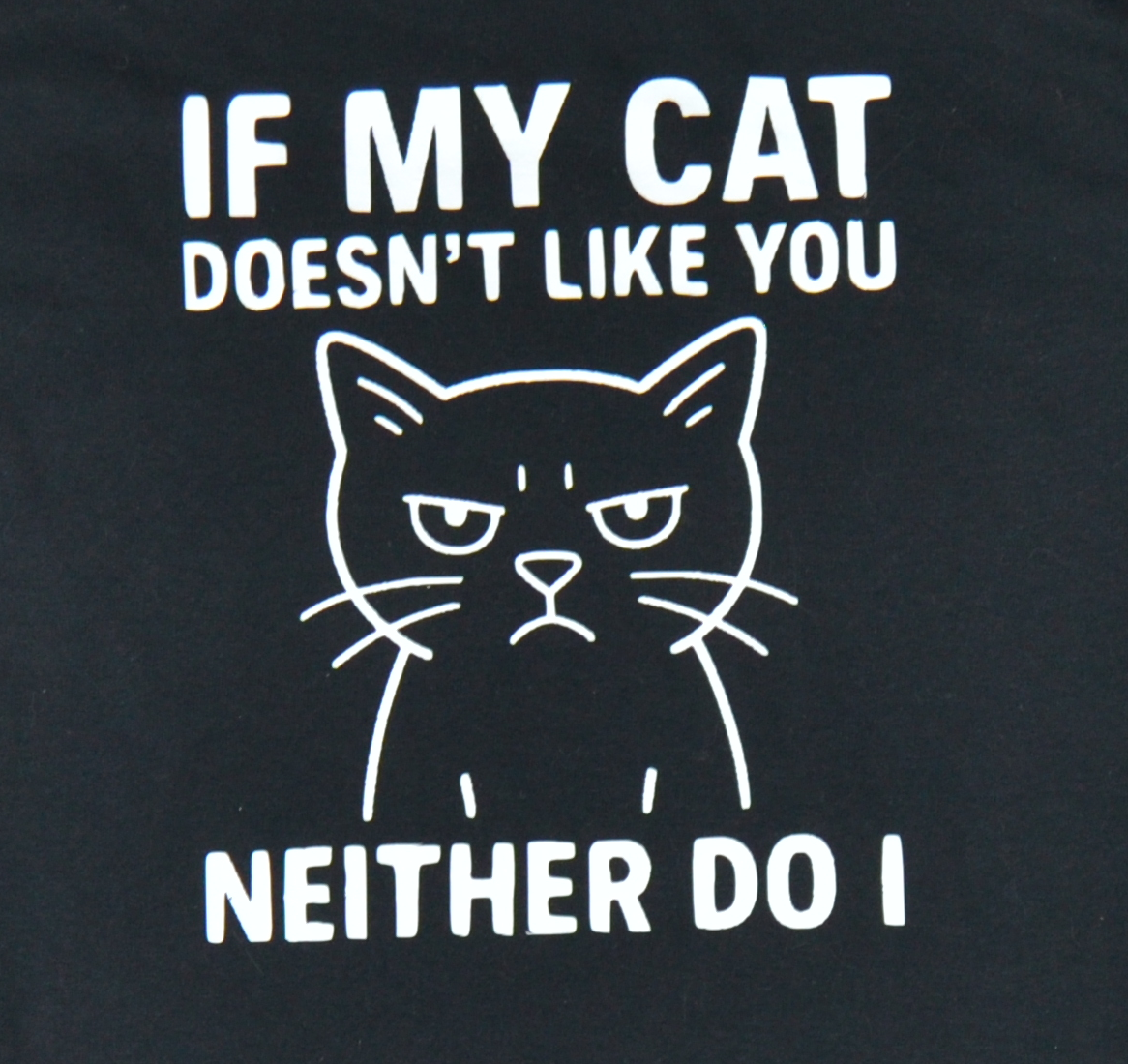 If my cat doesn't like you, neither do I