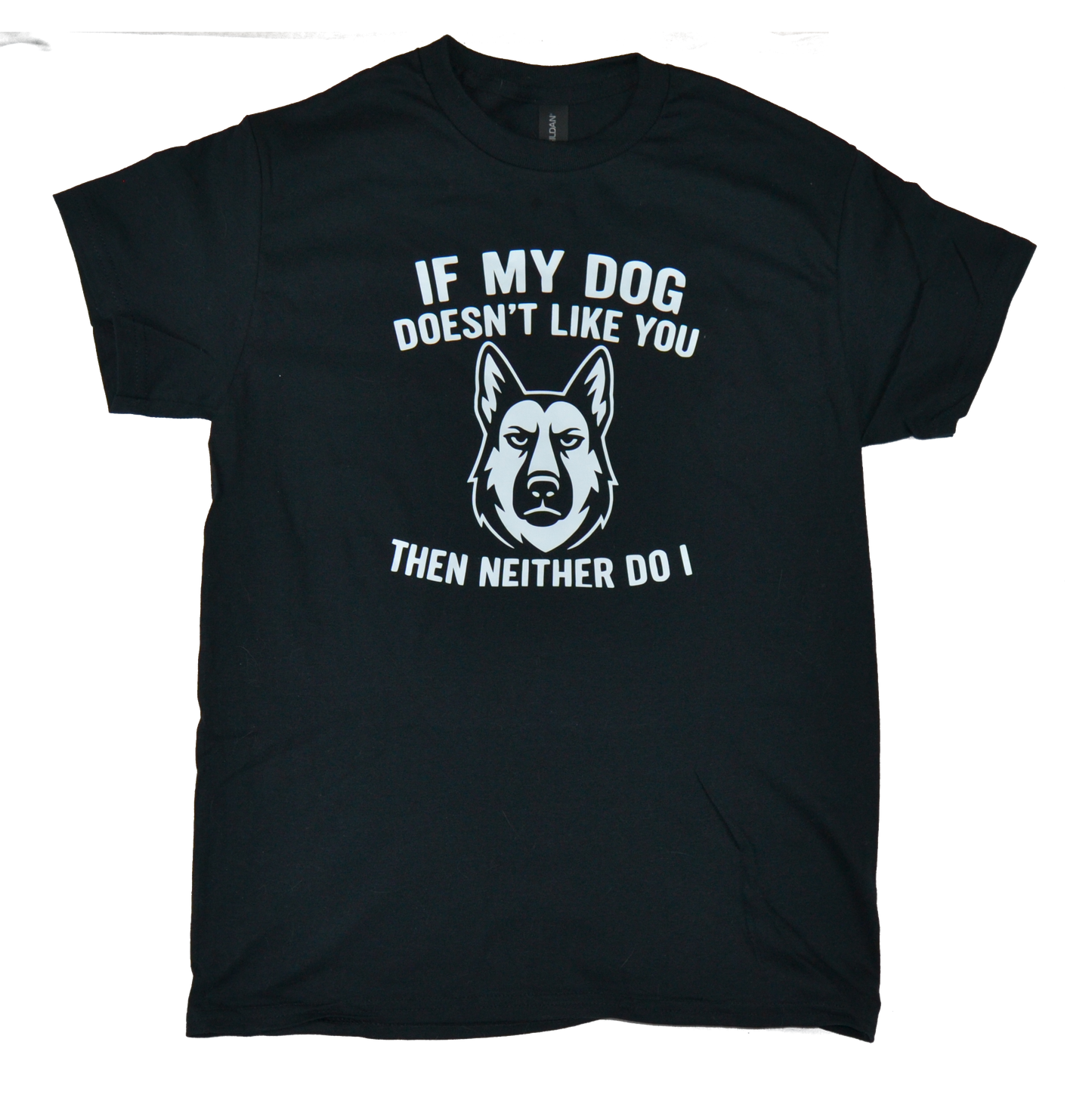 If my dog doesn't like you, neither do I