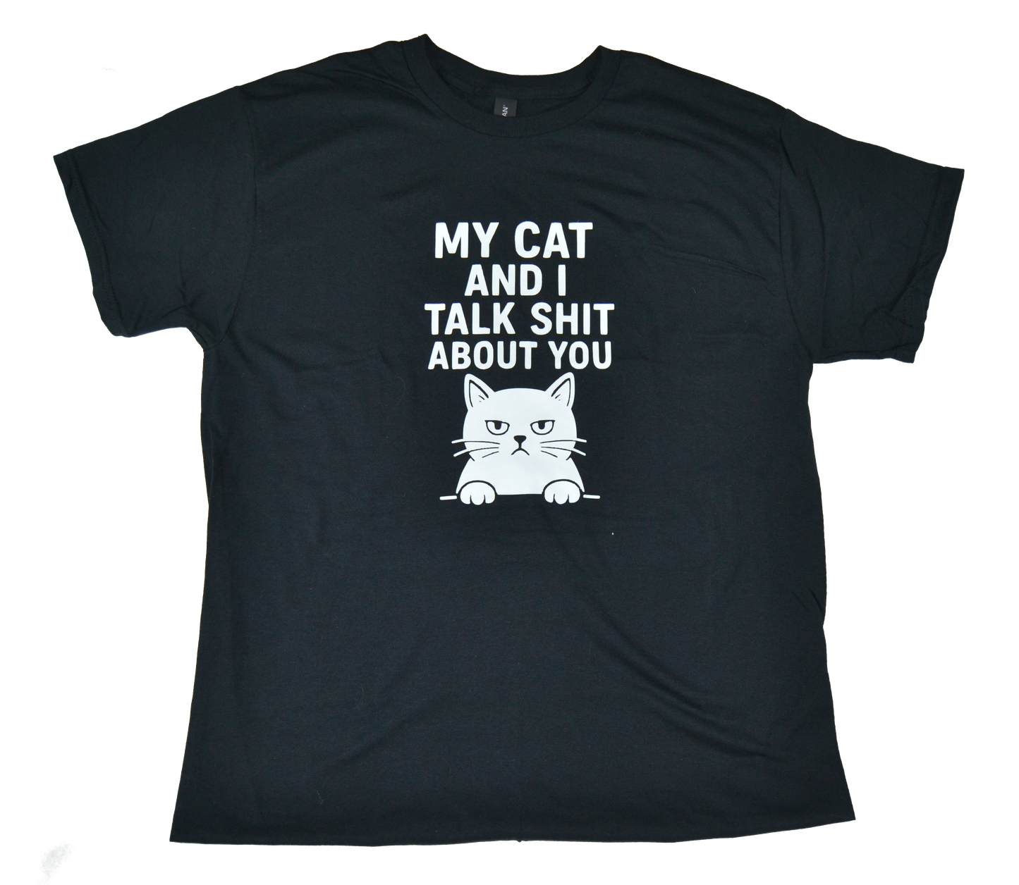 My cat and I talk shit about you