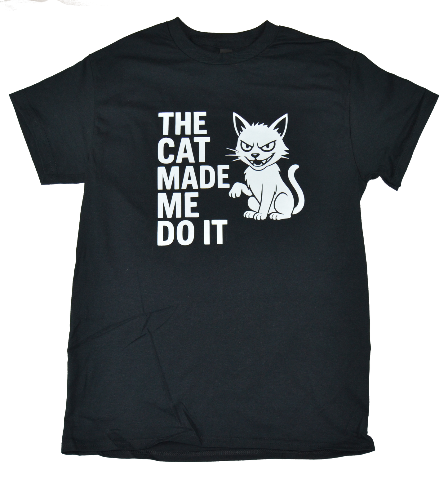 The cat made me do it