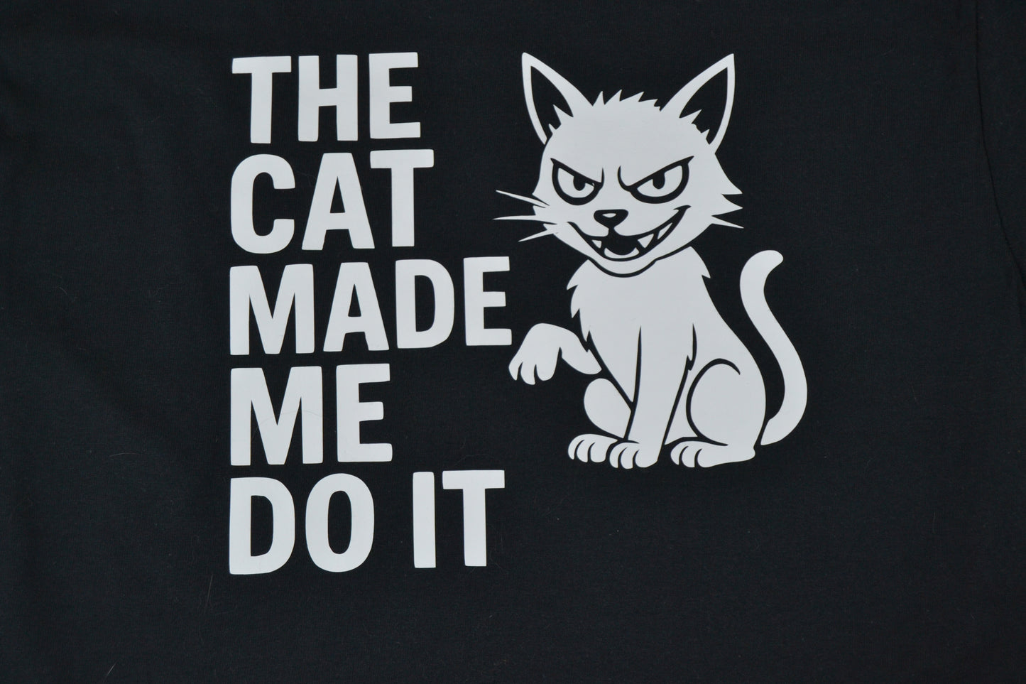 The cat made me do it